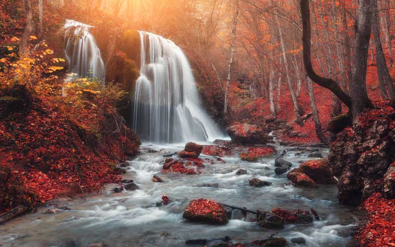 Tree surgeon river with waterfall